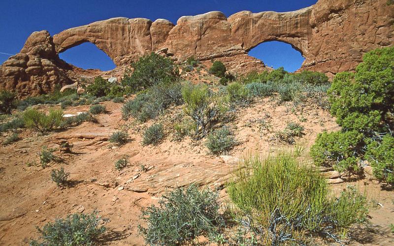 1996-04 Utah Trip 93 Arches NP.jpg